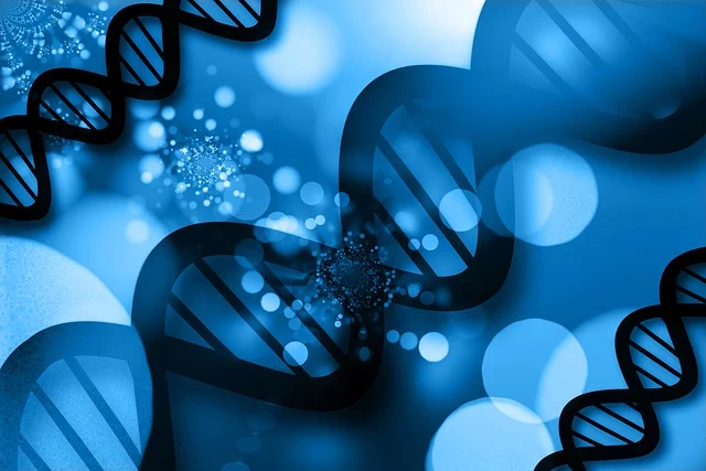 高純度1,3-丙二胺 DAP CAS No:109-76-2，廣泛應用于醫藥、農藥和精細化工產品的合成領域